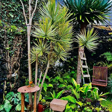 Portugal House Dom wakacyjny *