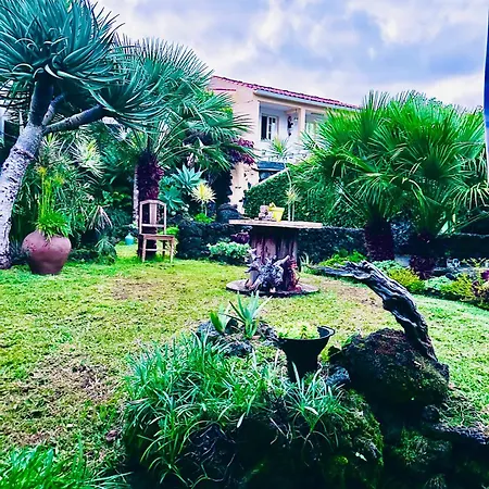 Dom wakacyjny Portugal House *