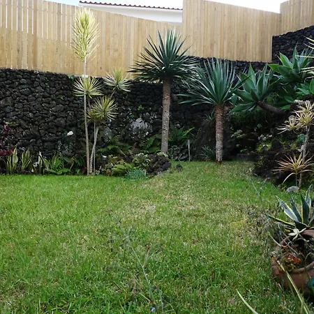 Portugal House * Praia do Norte