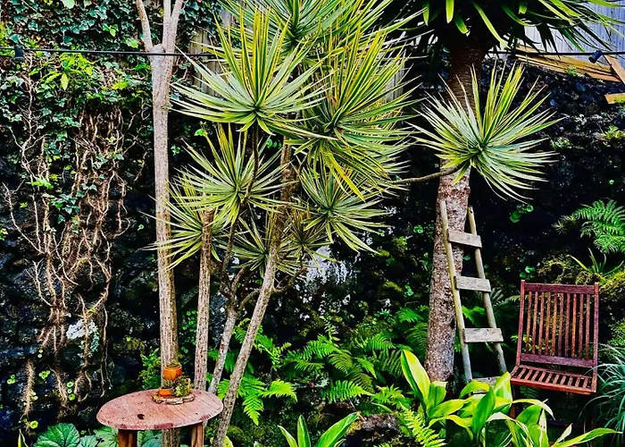 Portugal House Dom wakacyjny *