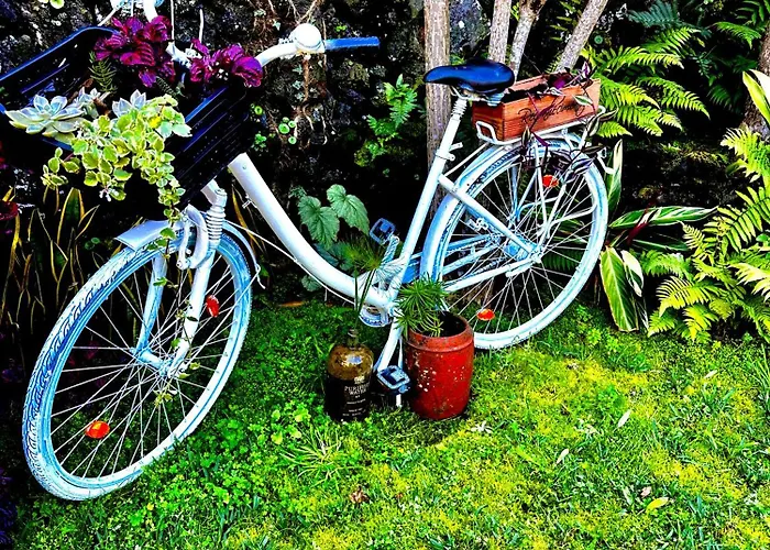 Dom wakacyjny Portugal House *