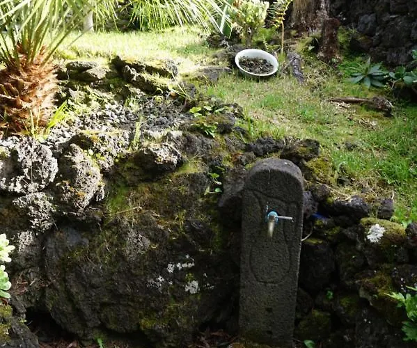 Portugal House Dom wakacyjny *