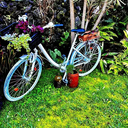 Holiday home Portugal House *