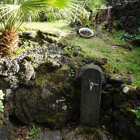 Portugal House Holiday home *